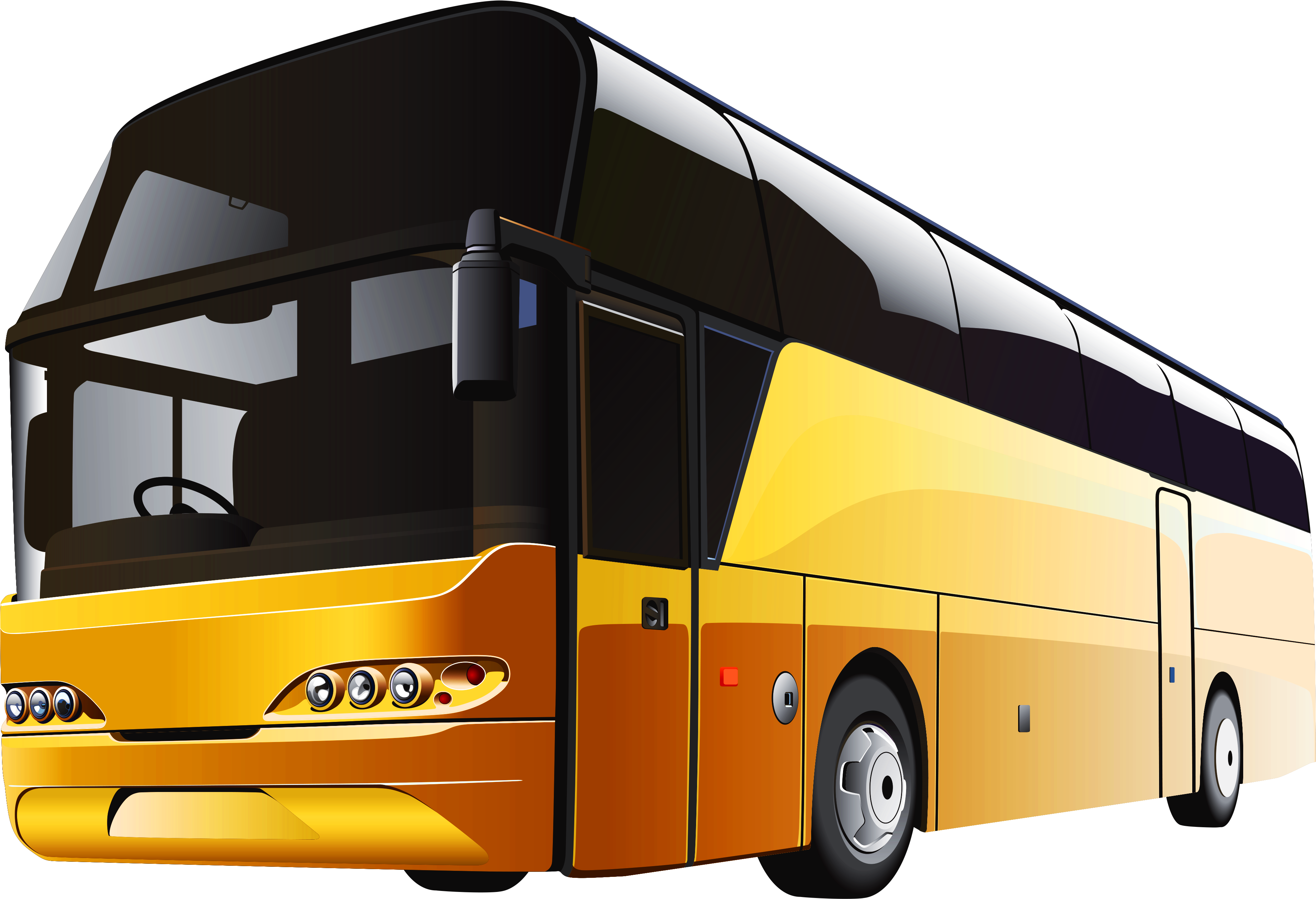 Charter bus vehicle types